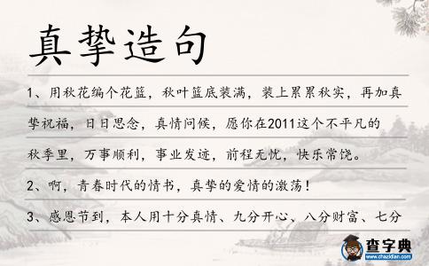 真摯造句