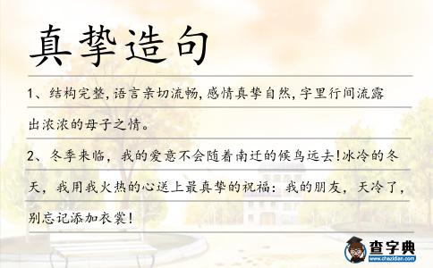 真摯造句