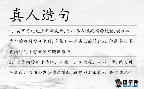 真人造句