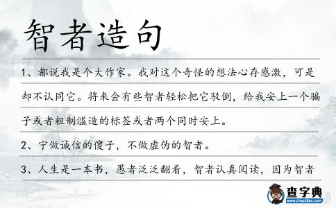 智者造句
