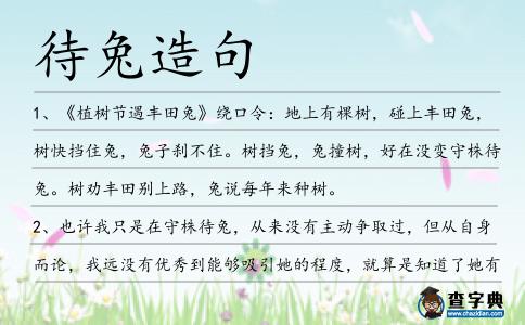 待兔造句