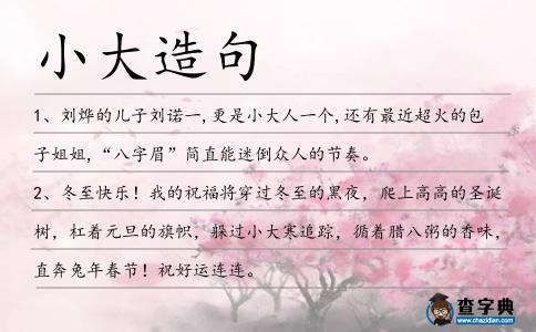 小大造句