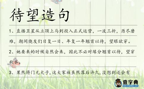 待望造句