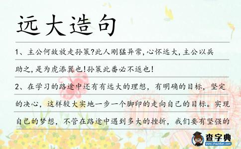 遠(yuǎn)大造句