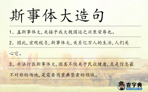 斯事體大造句