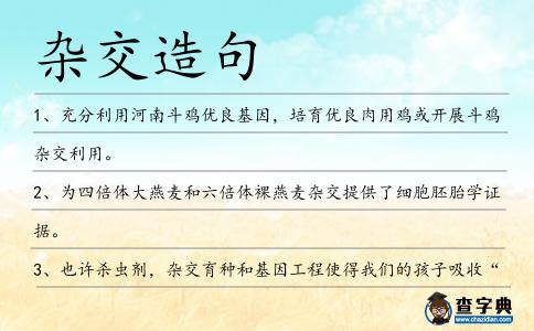 雜交造句