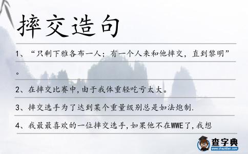 摔交造句