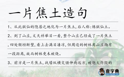 一片焦土造句