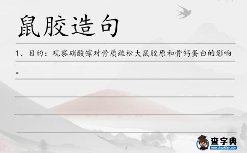 鼠膠造句