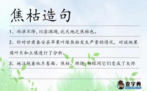 焦枯造句