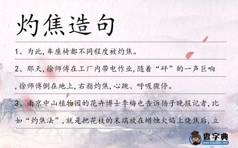 灼焦造句