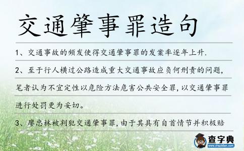 交通肇事罪造句
