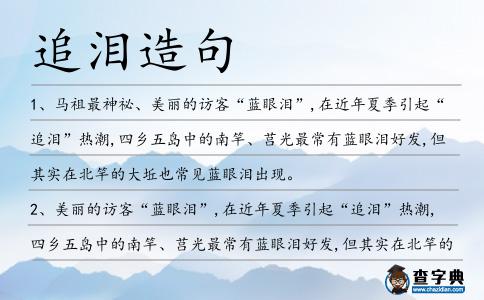 追淚造句