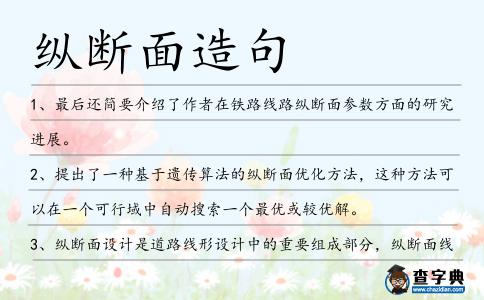 縱斷面造句
