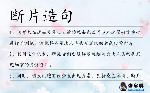斷片造句