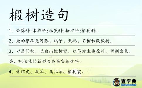 椴樹造句