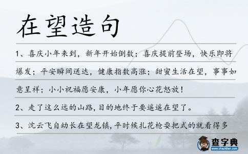 在望造句