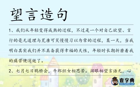望言造句