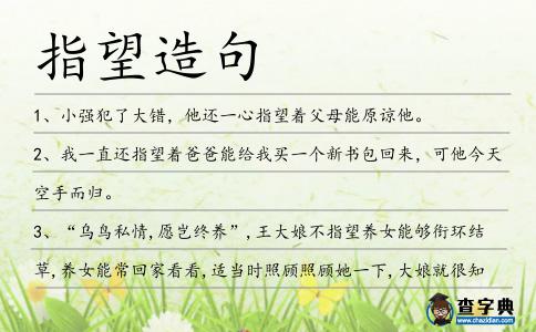 指望造句