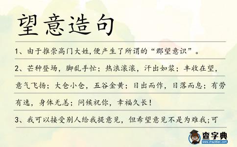 望意造句