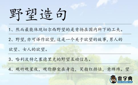 野望造句
