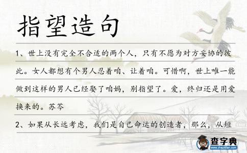 指望造句