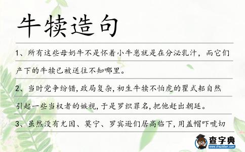 牛犢造句