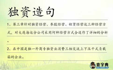 獨資造句