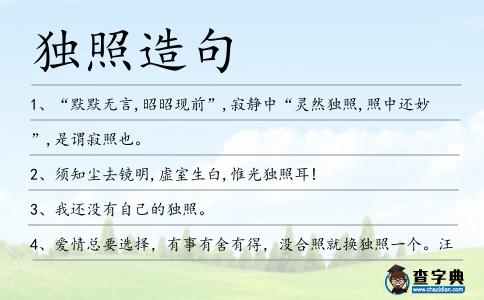 獨照造句
