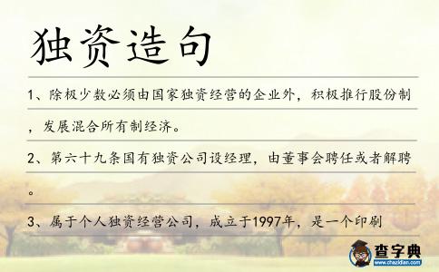獨資造句