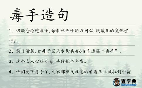 毒手造句