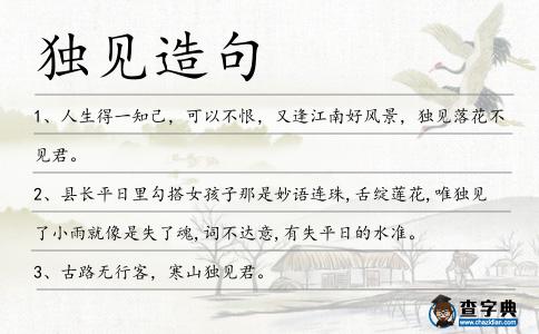 獨見造句