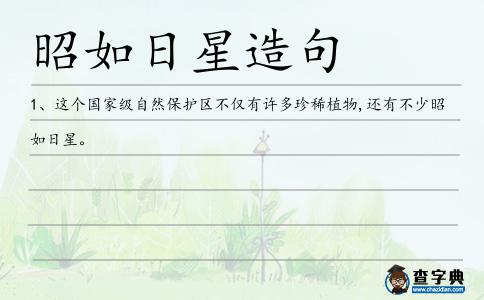 昭如日星造句