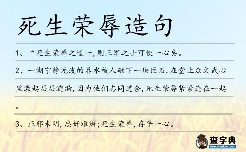 死生榮辱造句