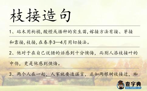 枝接造句