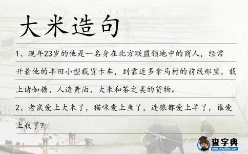 大米造句