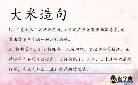 大米造句