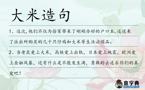 大米造句