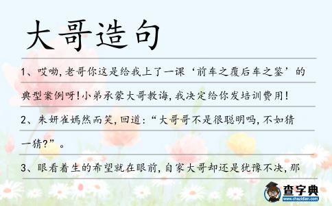 大哥造句