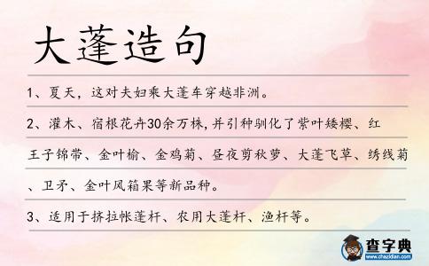 大蓬造句
