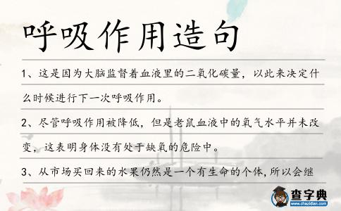 呼吸作用造句