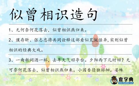 似曾相識造句