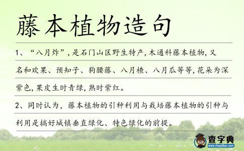 藤本植物造句