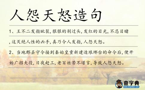 人怨天怒造句