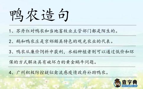 鴨農造句