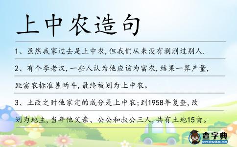 上中農造句