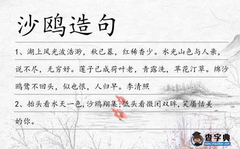 沙鷗造句
