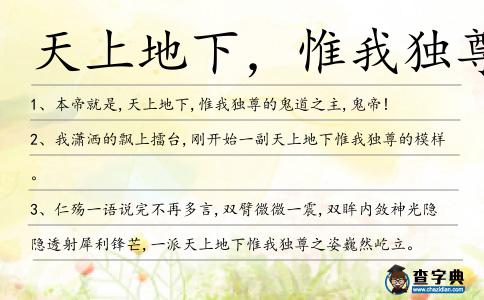 天上地下,惟我獨(dú)尊造句
