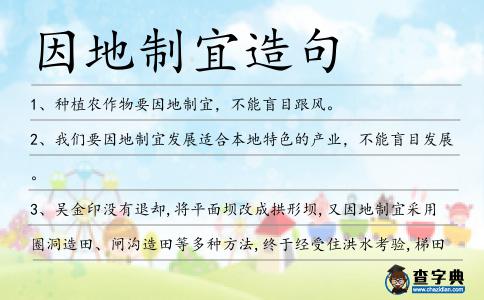因地制宜造句