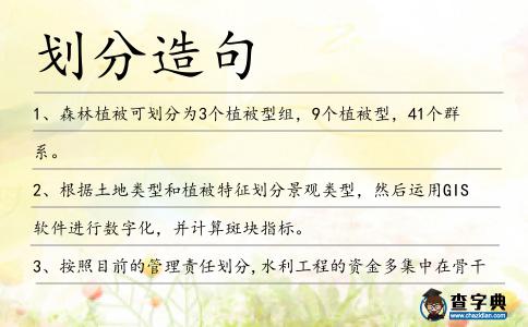 劃分造句